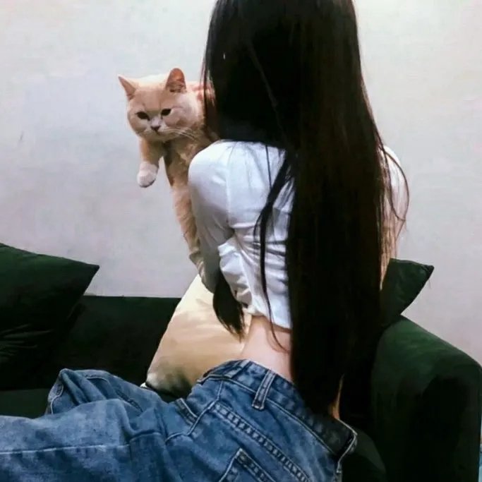 我裙子去哪儿了