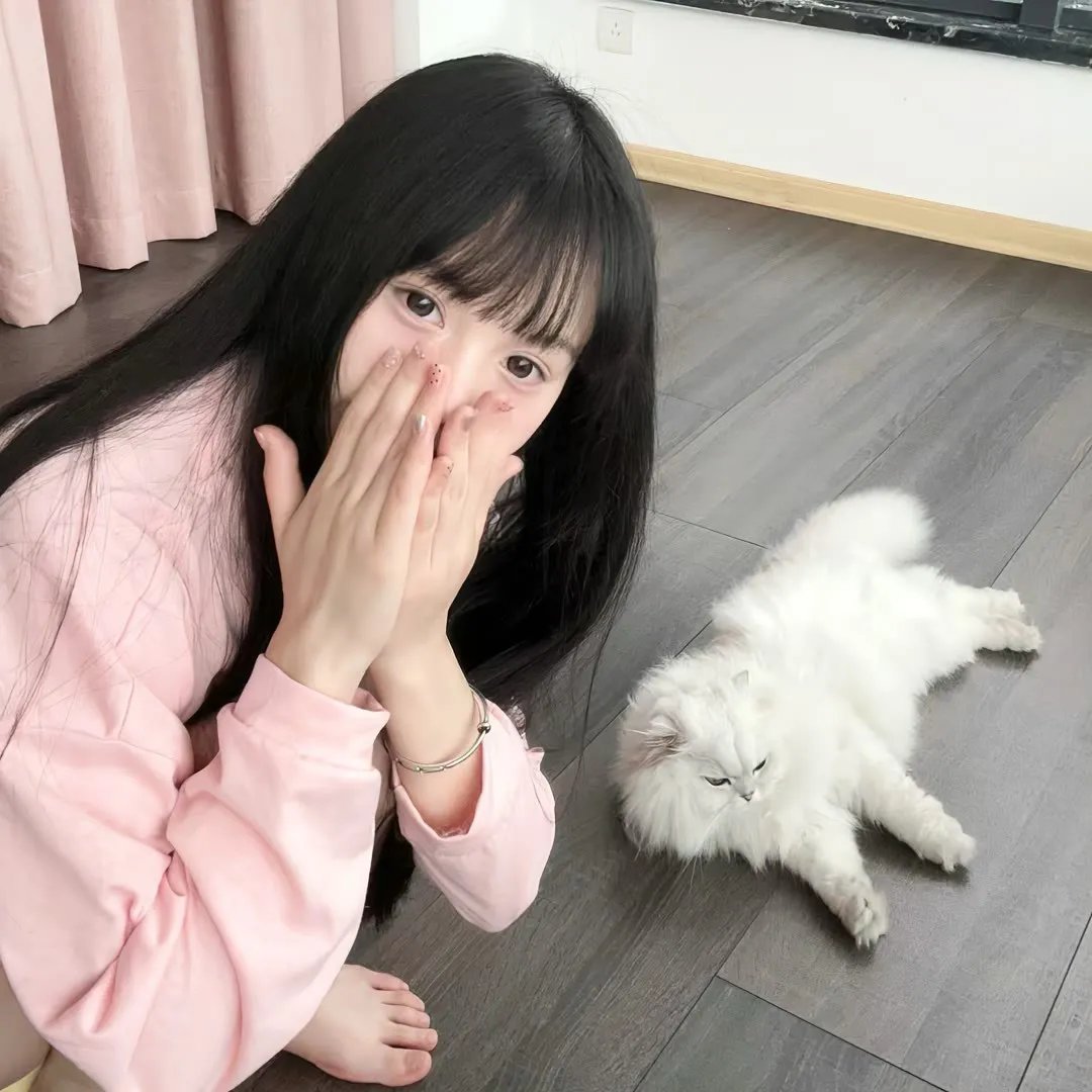 301角斗